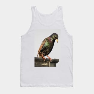 Starling Tank Top